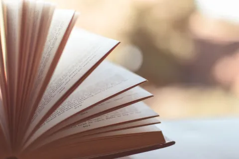 A book open with pages fanned. Background out of focus outside.